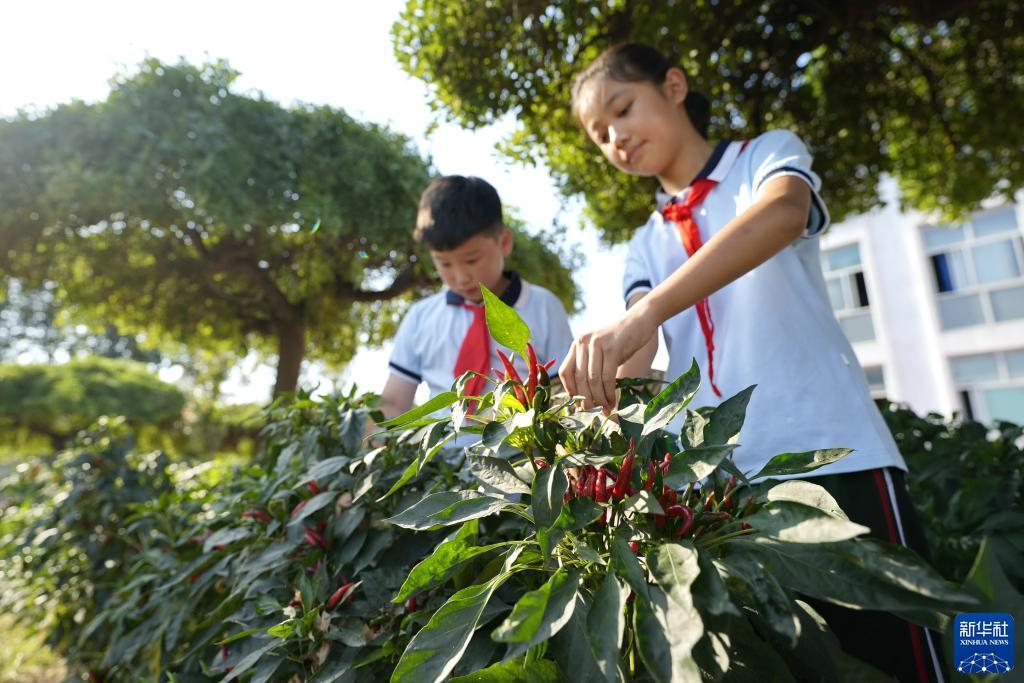 打鱼游戏捕鱼